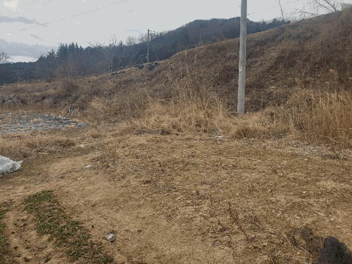 법원경매 2025타경227 사진9 | 김천시 봉산면 광천리 450 도로 경매