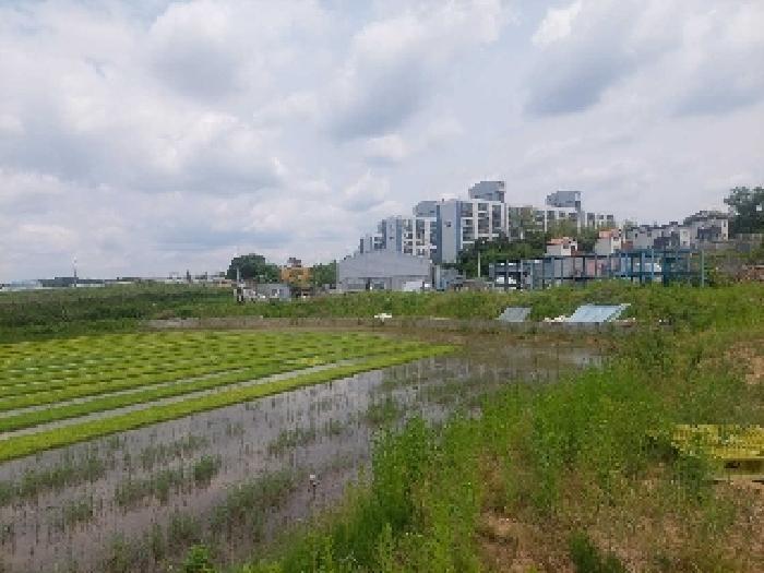 2025타경11678 법원경매 사진9 | 충남 천안시 답 경매