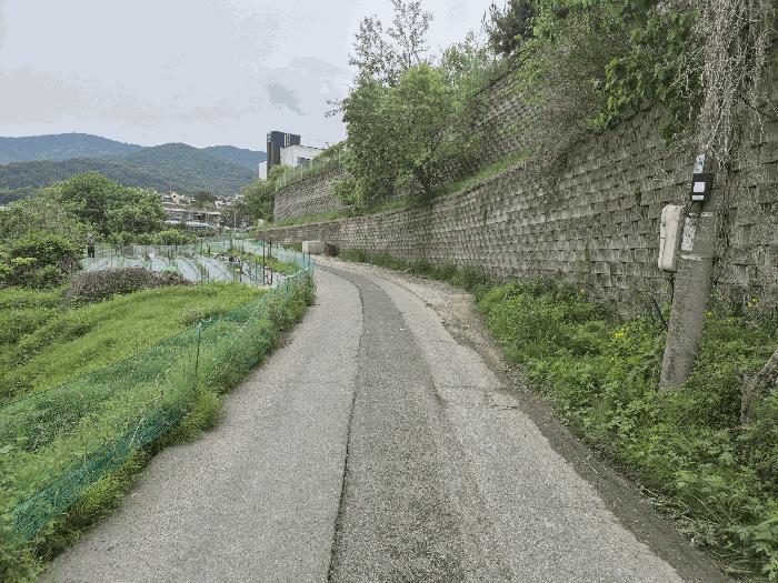 2025타경11694 법원경매 사진6 | 천안 동남구 답 경매