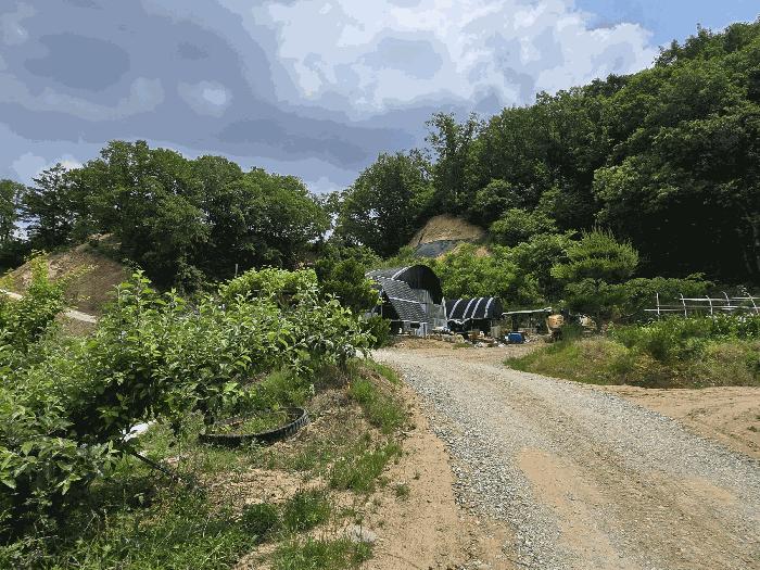 충청남도 천안시 동남구 목천읍 석천리 산49 법원경매 물건 대표사진