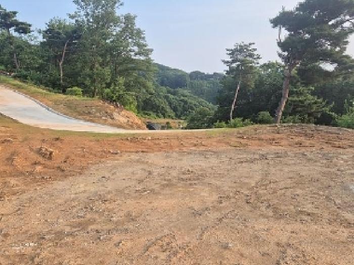2025타경11725 법원경매 사진40 | 천안 동남구 임야 경매