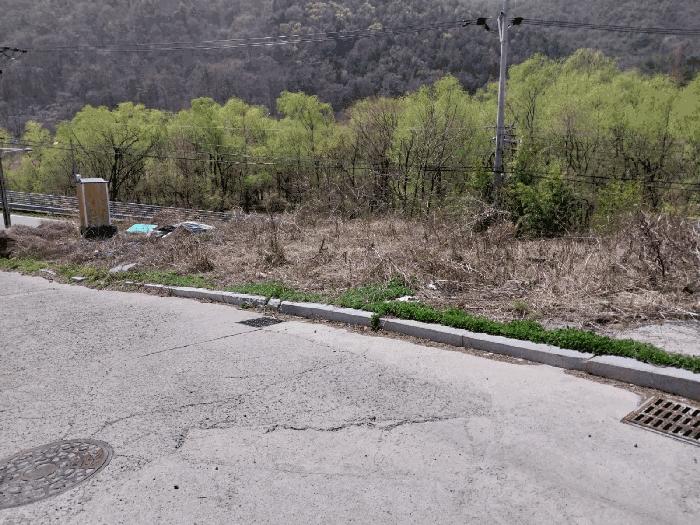 법원경매 2024타경2267 사진5 | 울산 울주군 웅촌면 통천리 786-6 임야 경매