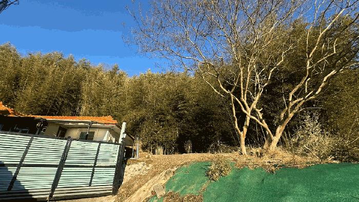울산광역시 울주군 삼동면 조일리 산42-6 법원경매 물건 대표사진