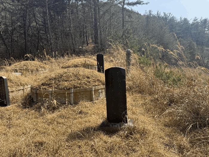 2025타경1809 법원경매 사진11 | 전남 화순군 전 경매