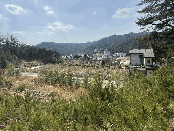 2025타경1809 법원경매 사진15 | 전남 화순군 전 경매