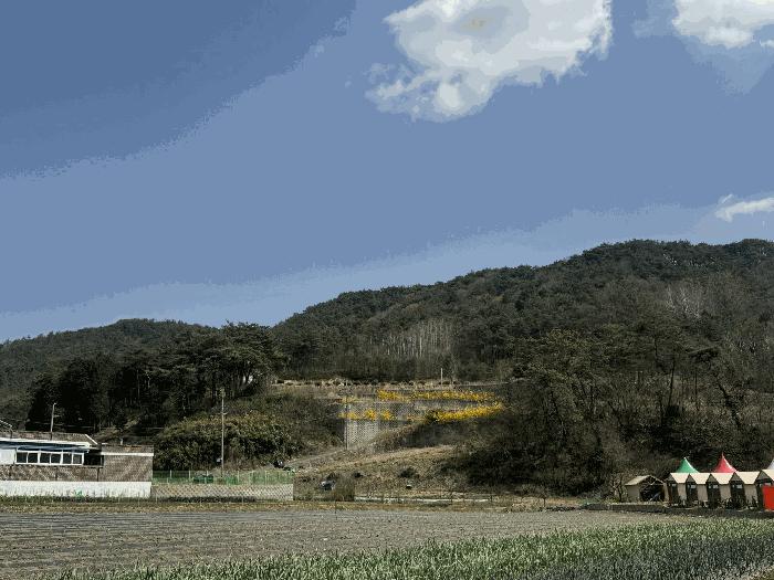 2025타경1809 법원경매 사진21 | 전남 화순군 전 경매