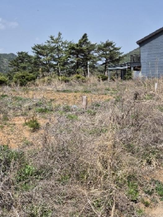2025타경1809 법원경매 사진33 | 전남 화순군 전 경매