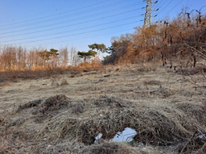 2025타경186 법원경매 사진4 | 충남 당진시 전 경매