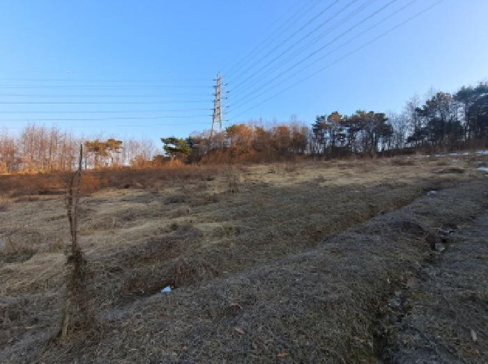 2025타경186 법원경매 사진7 | 충남 당진시 전 경매