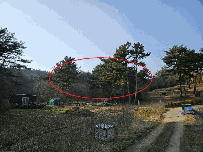 2025타경51131 법원경매 사진2 | 충남 태안군 임야 경매