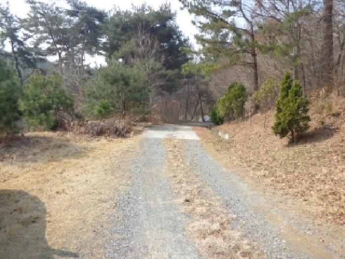 2025타경51131 법원경매 사진7 | 충남 태안군 임야 경매