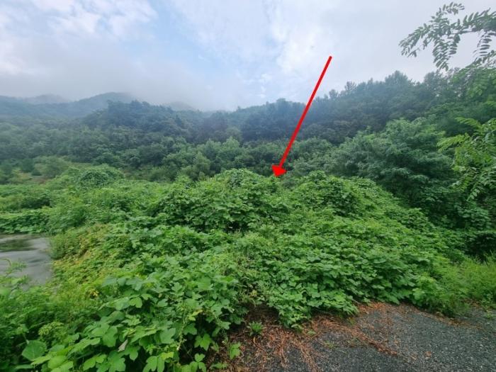 법원경매 2024타경82015 사진2 | 남양주시 진접읍 금곡리 59-15 공장용지 경매