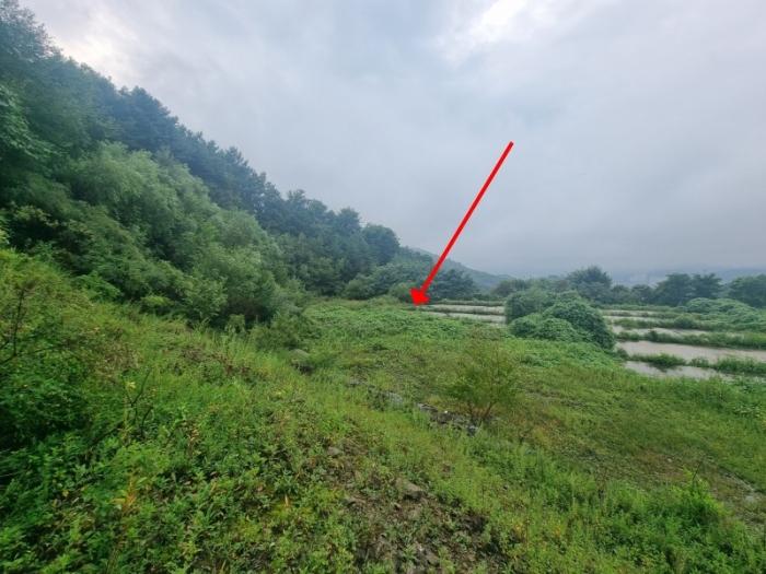 법원경매 2024타경82015 사진3 | 남양주시 진접읍 금곡리 59-15 공장용지 경매