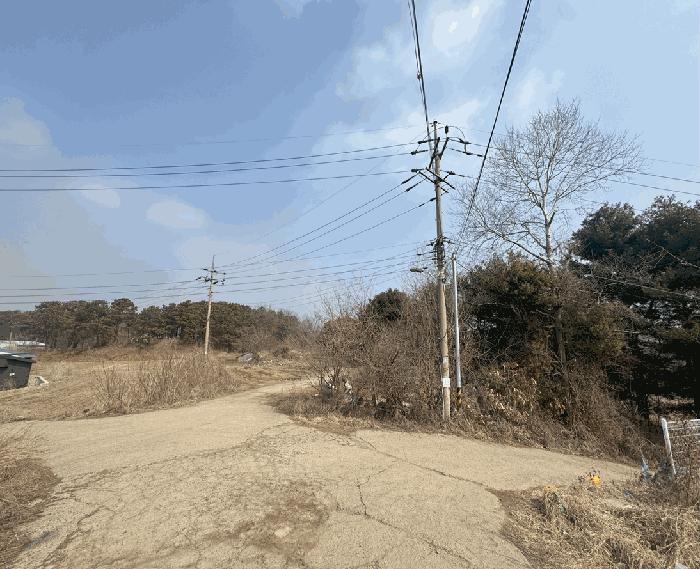 경기도 파주시 월롱면 영태리 90-11 법원경매 물건 대표사진