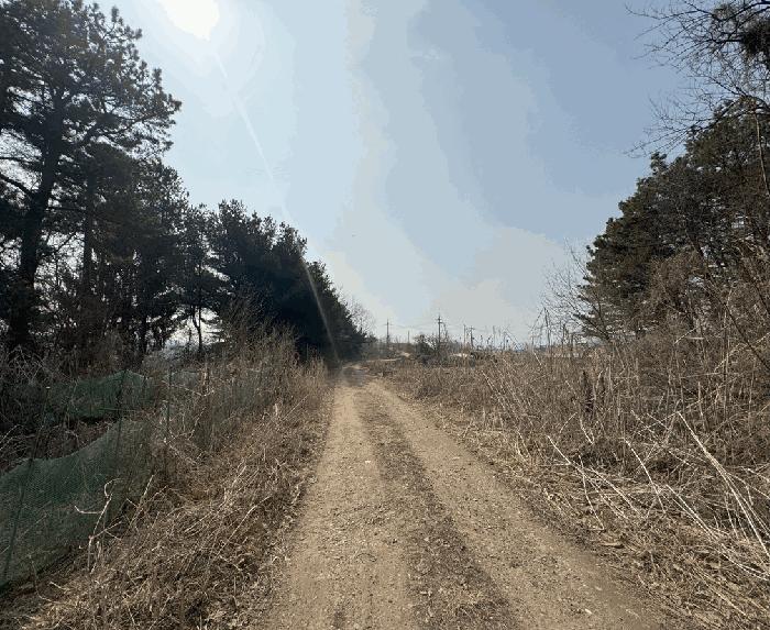 법원경매 2025타경62334 사진6 | 파주시 월롱면 영태리 90-11 공장용지 경매