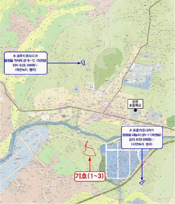 법원경매 2025타경62376 사진29 | 파주시 법원읍 대능리 218-40 임야 경매