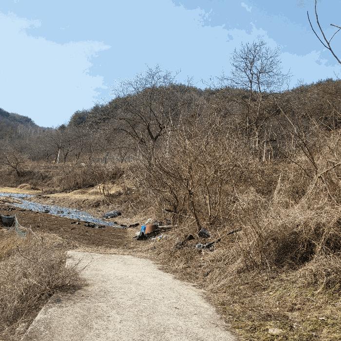 법원경매 2025타경10800 사진2 | 김천시 증산면 평촌리 330 전 경매