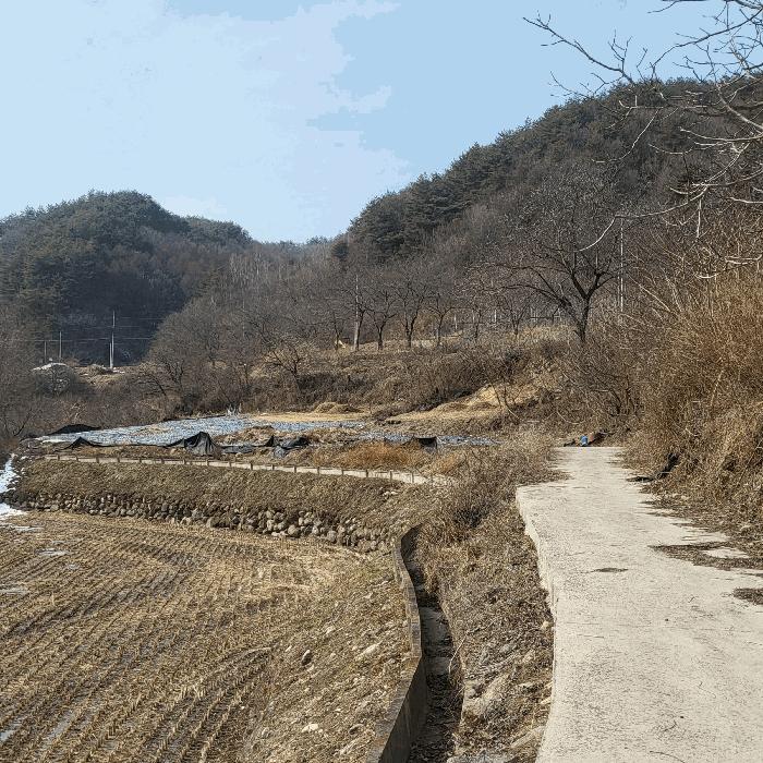 법원경매 2025타경10800 사진4 | 김천시 증산면 평촌리 330 전 경매