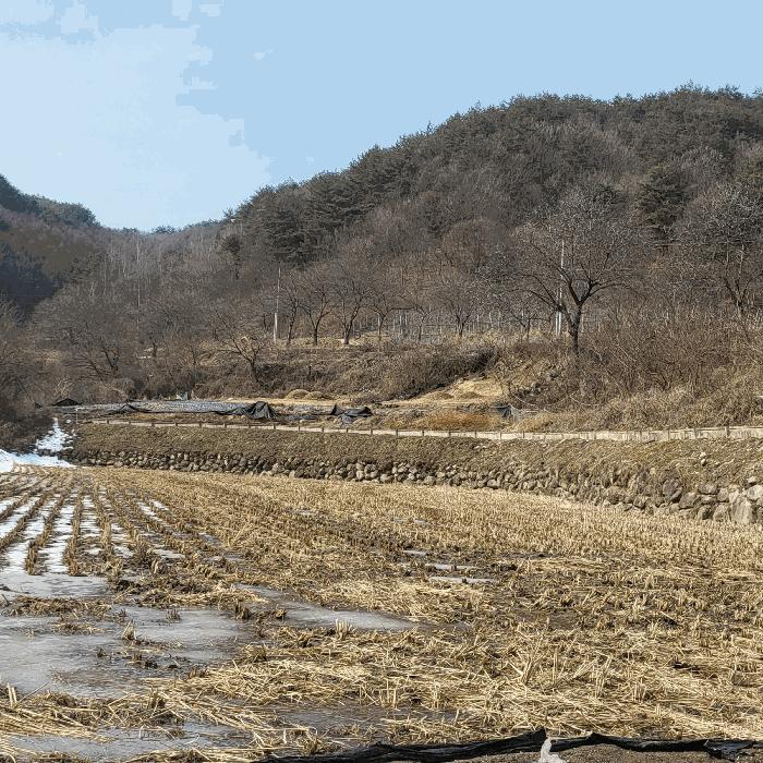 법원경매 2025타경10800 사진5 | 김천시 증산면 평촌리 330 전 경매