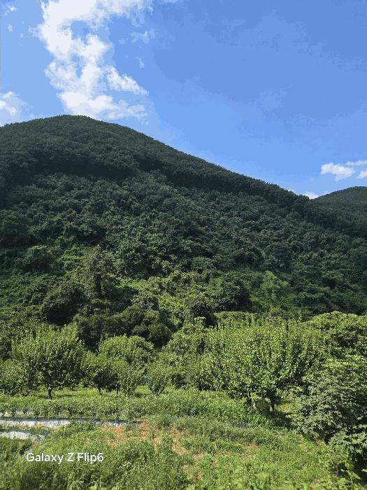 2025타경271 법원경매 사진2 | 경남 의령군 임야 경매