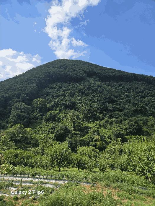 2025타경271 법원경매 사진3 | 경남 의령군 임야 경매
