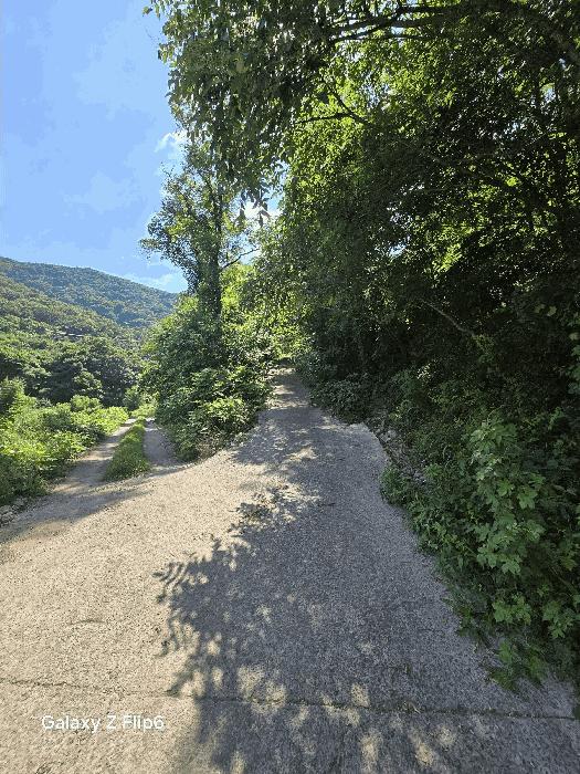 2025타경271 법원경매 사진5 | 경남 의령군 임야 경매