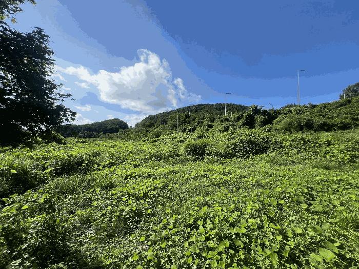 경상남도 창원시 마산합포구 구산면 반동리 27-1 법원경매 물건 대표사진
