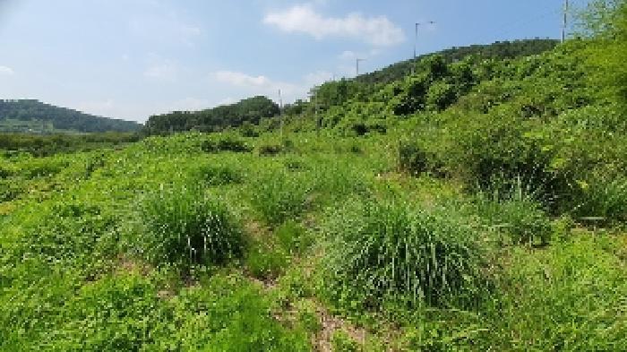 2025타경276 법원경매 사진9 | 창원 마산합포구 상가 경매