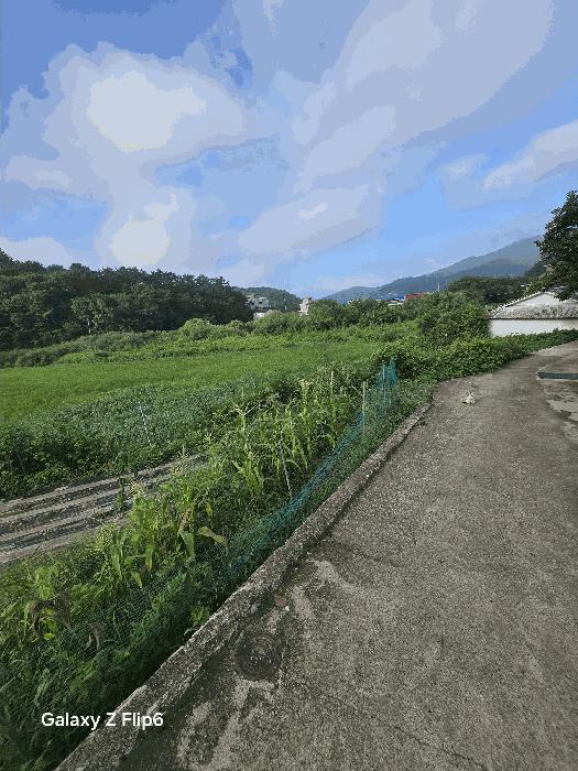 경상남도 창원시 마산합포구 구산면 석곡리 693 법원경매 물건 대표사진