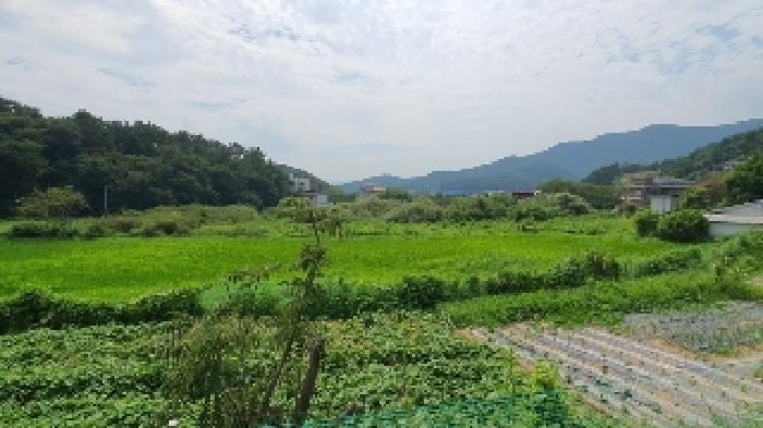2025타경281 법원경매 사진6 | 창원 마산합포구 답 경매