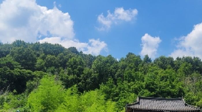 법원경매 2025타경20740 사진13 | 의령군 유곡면 세간리 347 임야 경매