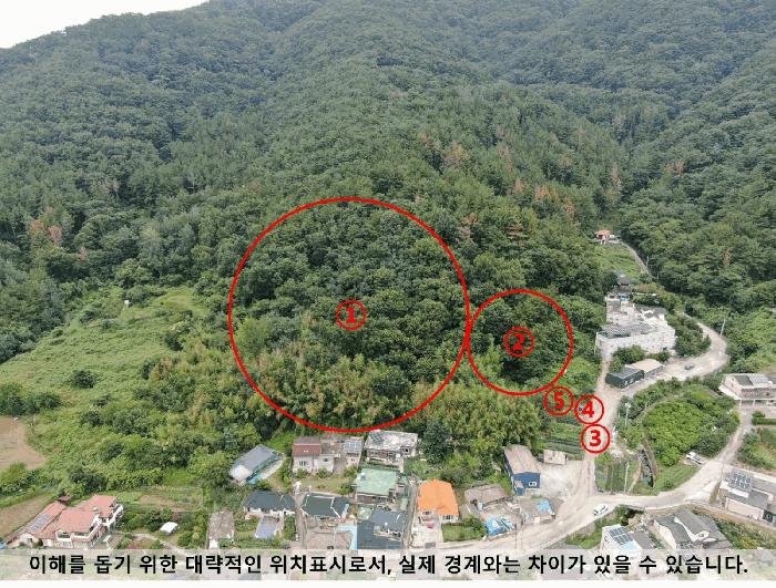 2025타경20784 법원경매 사진6 | 경남 함안군 임야 경매