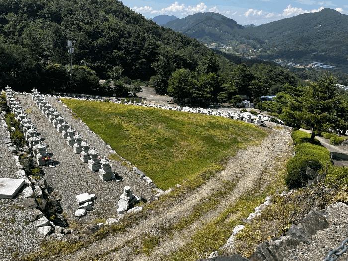 2025타경502981 법원경매 사진10 | 충남 금산군 임야 경매