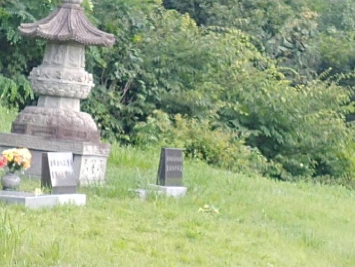 2025타경502981 법원경매 사진19 | 충남 금산군 임야 경매