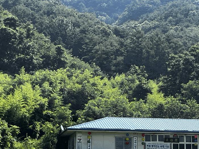 2025타경502981 법원경매 사진4 | 충남 금산군 임야 경매