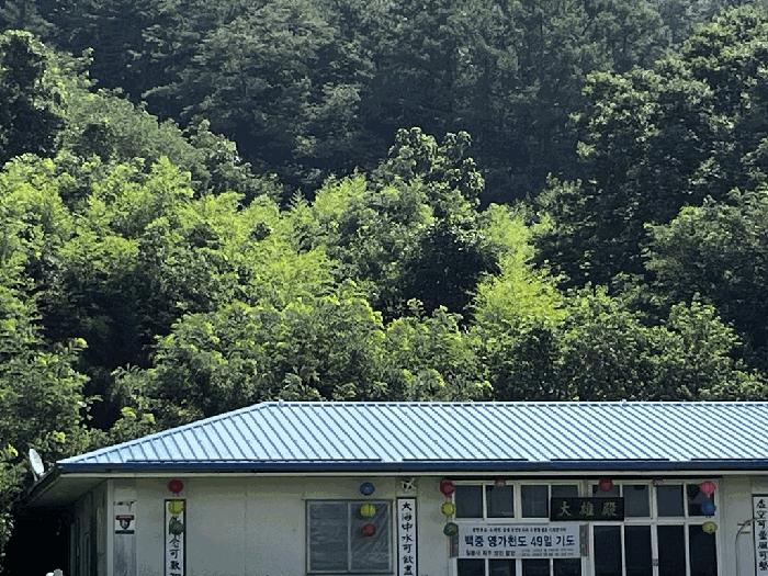 2025타경502981 법원경매 사진5 | 충남 금산군 임야 경매