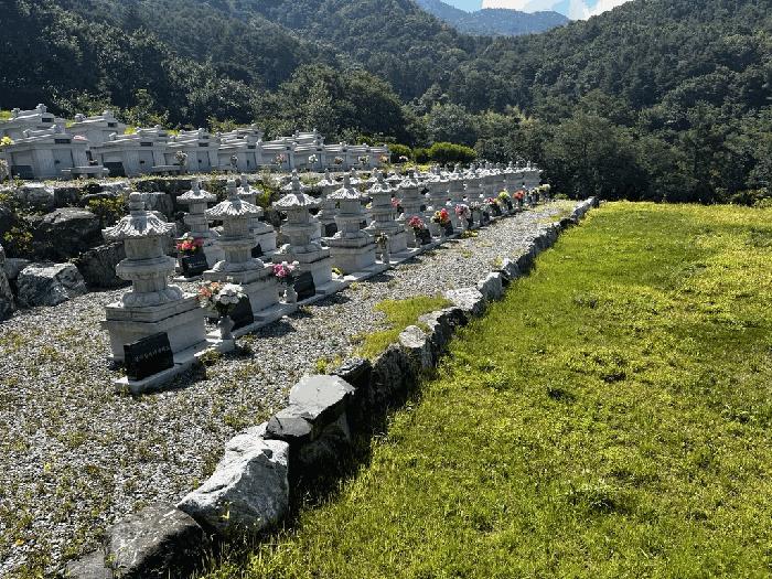 2025타경502981 법원경매 사진7 | 충남 금산군 임야 경매