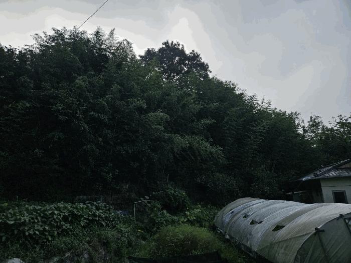 경상남도 함안군 법수면 황사리 911 법원경매 물건 대표사진