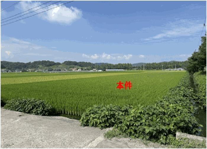 경남 함안군 법수면 주물리 40-8 답 사진 6