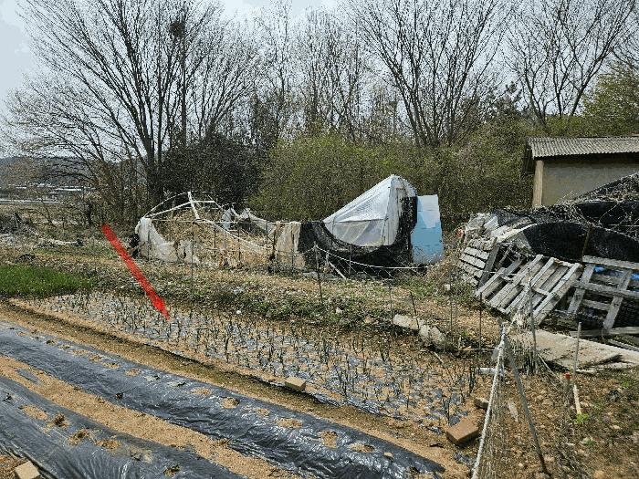 2025타경52084 법원경매 사진2 | 안산 단원구 주택건물 경매