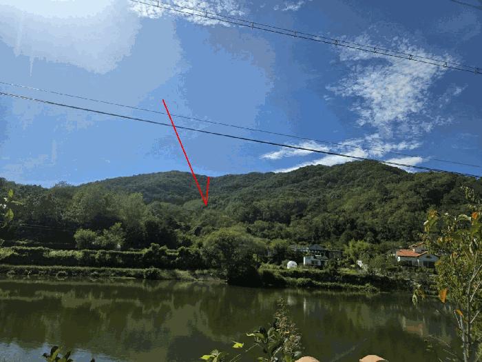 2025타경503372 법원경매 사진3 | 충남 금산군 임야 경매