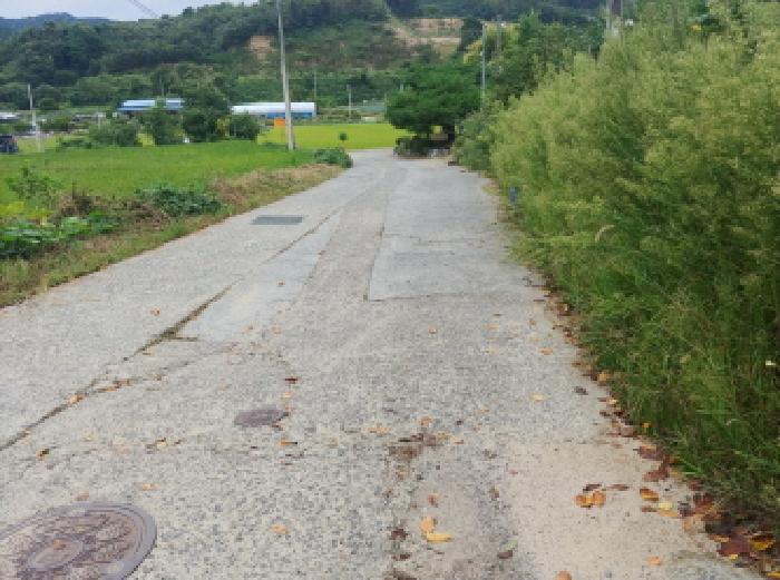 2025타경503372 법원경매 사진6 | 충남 금산군 임야 경매