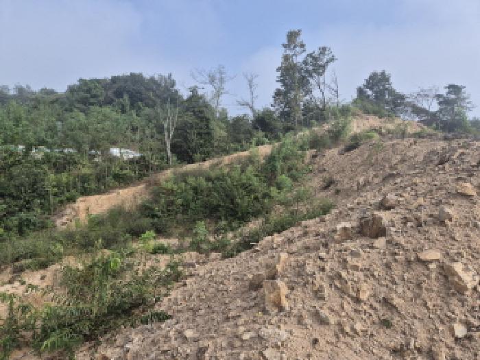 2025타경503450 법원경매 사진30 | 세종 장군면 임야 경매
