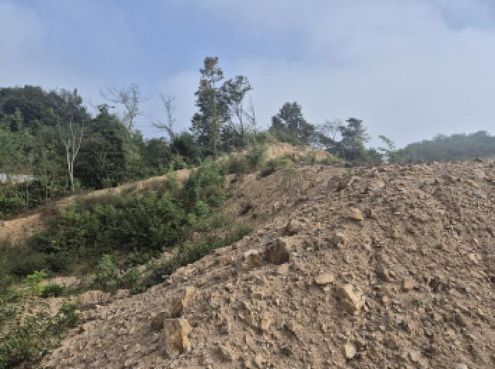 2025타경503450 법원경매 사진32 | 세종 장군면 임야 경매