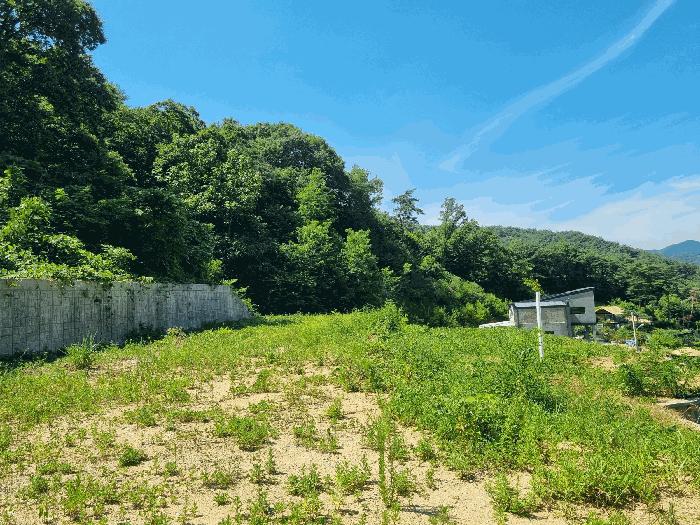 전라남도 장성군 황룡면 아곡리 495-24 법원경매 물건 대표사진