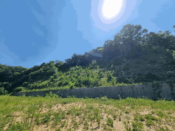2025타경3751 법원경매 사진14 | 전남 장성군 전답 경매