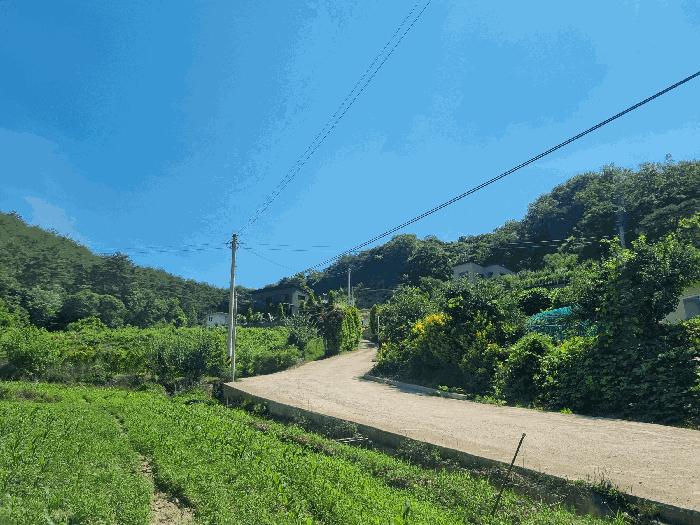 2025타경3751 법원경매 사진18 | 전남 장성군 전답 경매