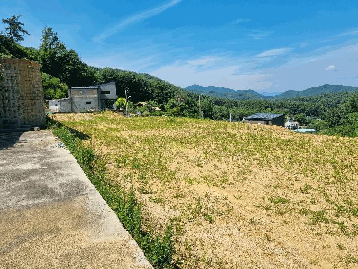 2025타경3751 법원경매 사진26 | 전남 장성군 전답 경매
