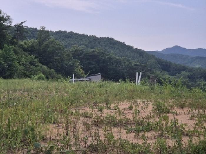 2025타경3751 법원경매 사진28 | 전남 장성군 전답 경매