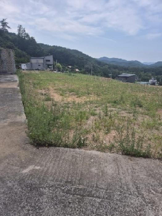 2025타경3751 법원경매 사진36 | 전남 장성군 전답 경매
